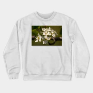 slb in full bloom Crewneck Sweatshirt